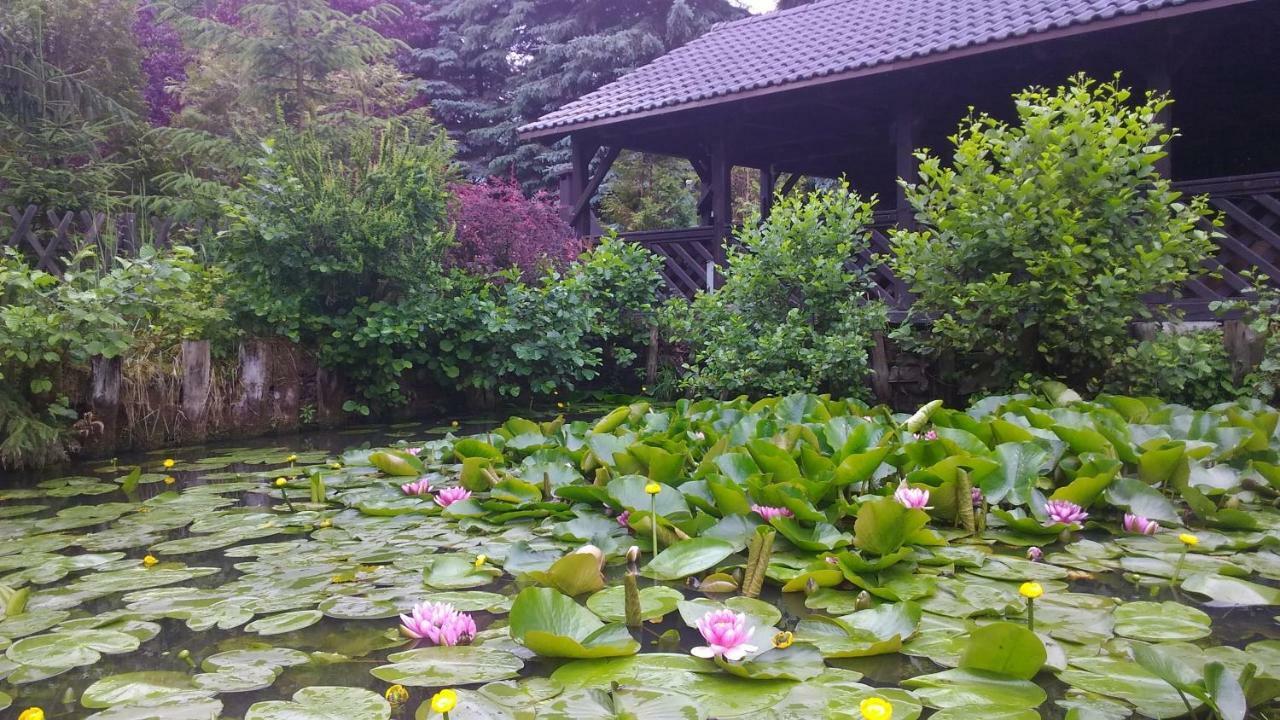 Dankowska Dolina Villa Bagian luar foto